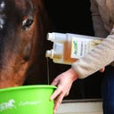 Stiefel Reiskeimöl - 1 l