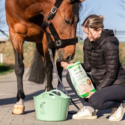 Stiefel Semi di Psillio, Bucce