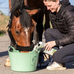 Stiefel Olio di Canapa