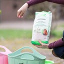 Stiefel Flohsamen, Schalen