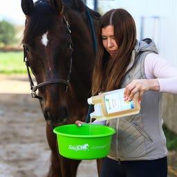 Stiefel Arthro Liquid