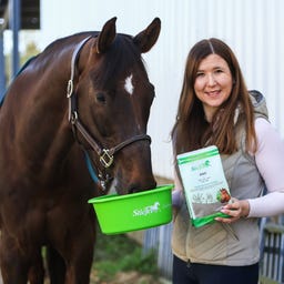 Stiefel Anis, Graines entières