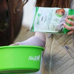 Stiefel Anis, Graines entières