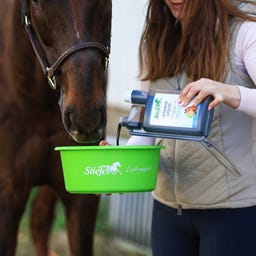 Stiefel Vitamin Liquid