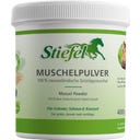 Stiefel Mussel Powder, ground