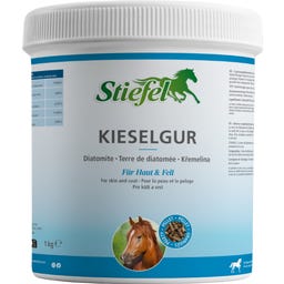 Stiefel Terre de Diatomée