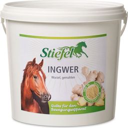 Stiefel Ginger, ground - 1 kg