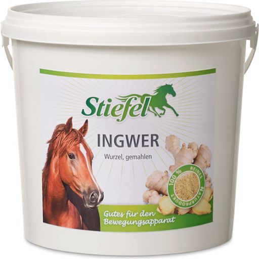 Stiefel Ginger, ground - 1 kg