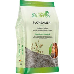 Téguments de Psyllium (Plaintain des Indes) - 1 kg