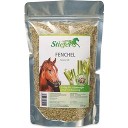 Stiefel Sweet Fennel Seeds - 500 g
