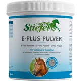 Stiefel E-Plus - Poudre